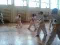 2015-04-22 Taekwondo 7 CUP